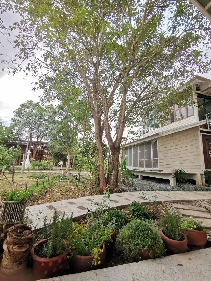 Baangaimuan Bed & Breakfast Lamphun Ngoại thất bức ảnh