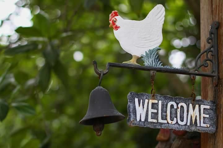 Baangaimuan Bed & Breakfast Lamphun Ngoại thất bức ảnh